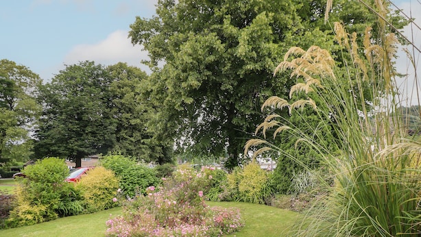 A well-maintained garden with various plants and flowers, a large tree, and a red car parked nearby. - Tuliptree (Chesterfield)