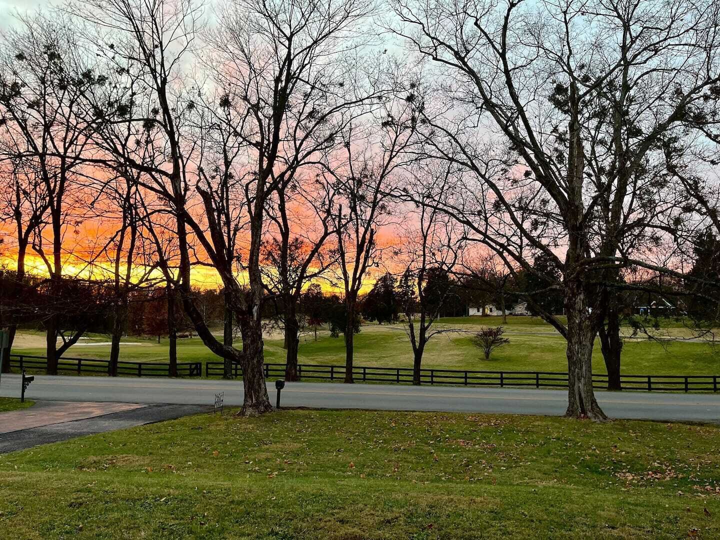 A park with trees and a sunset.