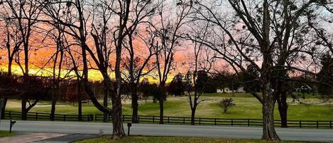 A park with trees and a sunset.