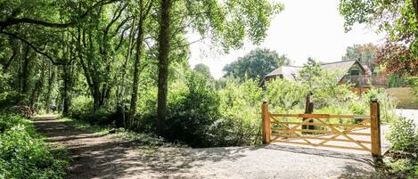 A dirt path leading to a wooden gate in a wooded area with a house in the background.