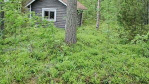 A cabin surrounded by dense forest. - Lomakoti kauniilla näkymillä Saimaan rannalla (Savonlinna)