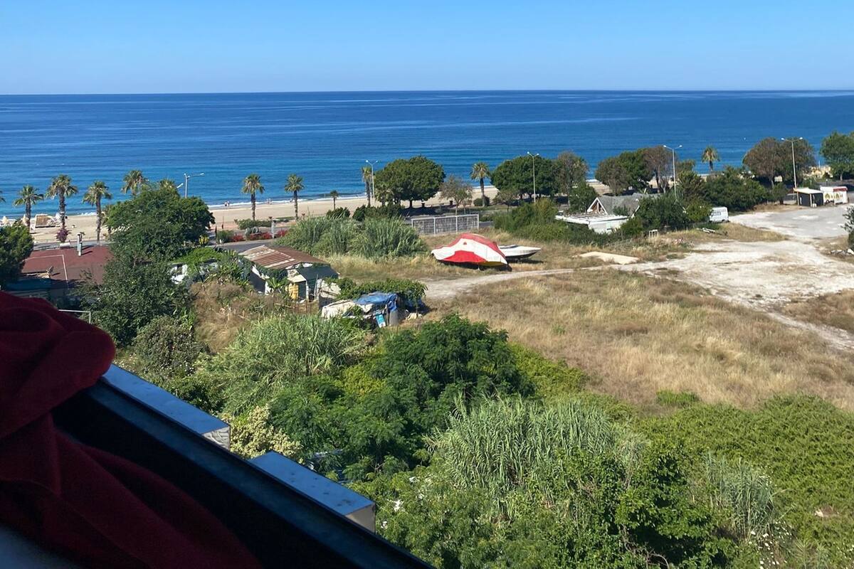 A coastal view with a beach, palm trees, and a clear blue sky.