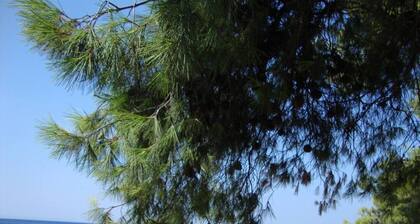 Beautiful and Modern Apartment in Neos Marmaras