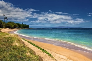 A beach with clear turquoise water, a sandy shore, and a line of trees.