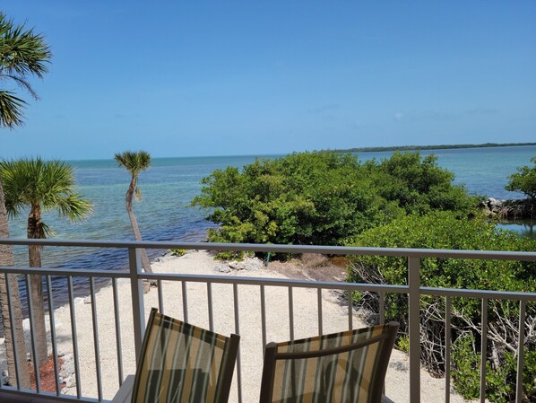Property grounds - Ocean front gated privacy with 3 bedrooms and protected boat slip. (Layton)