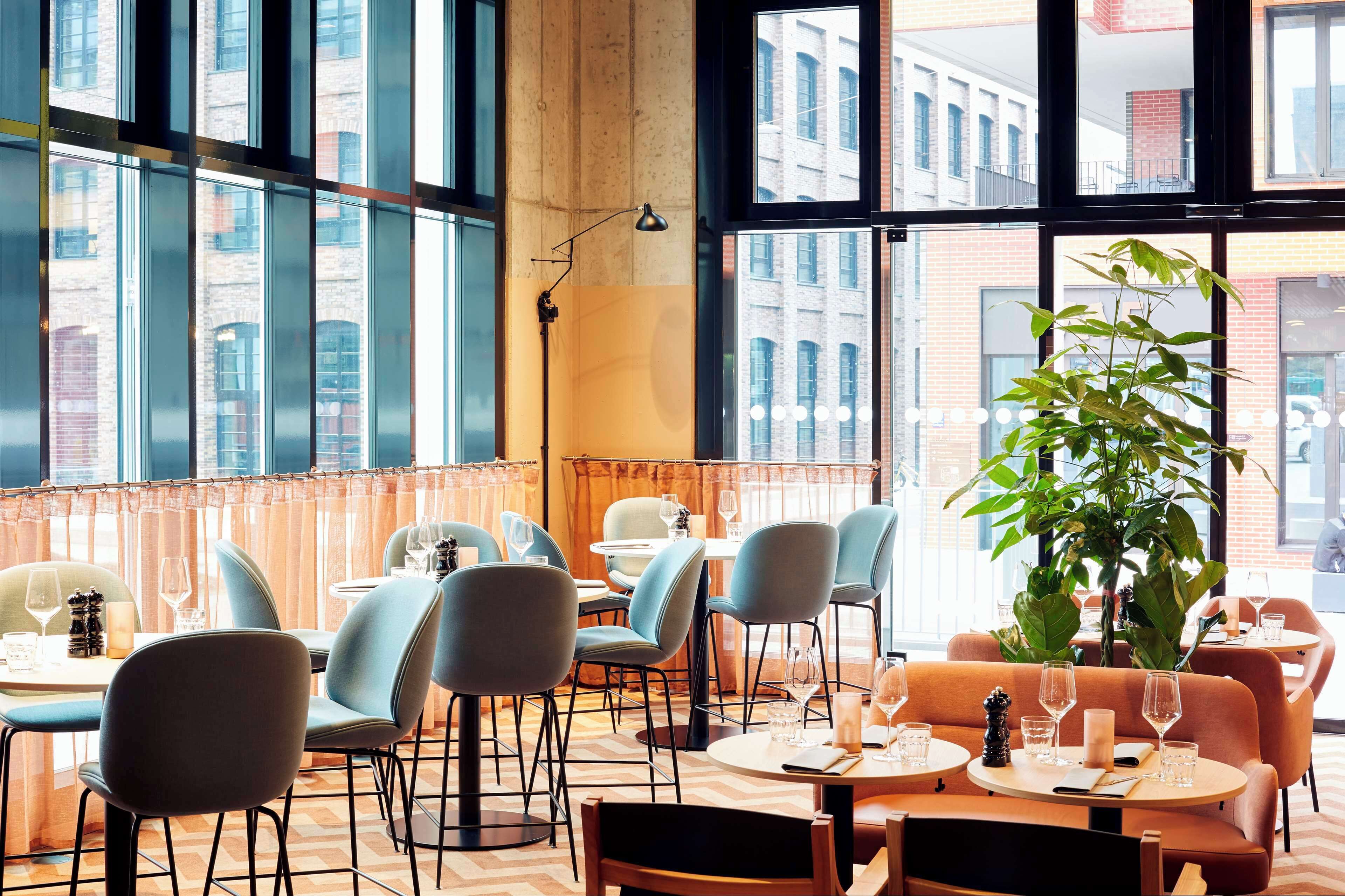 Abendessen, lokale und internationale Küche