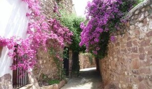 المنطقة المحيطة بالمنشأة