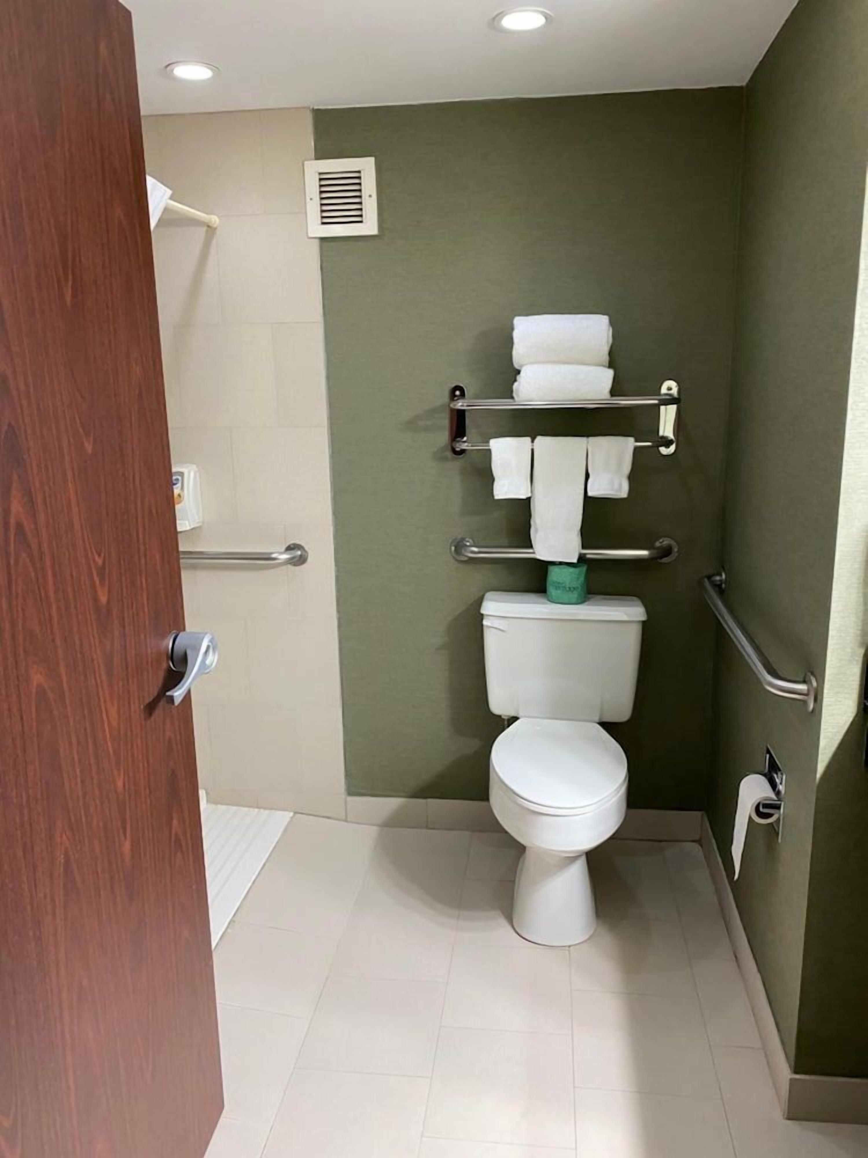 Une salle de bain équipée de toilettes, d’un porte-serviettes et de barres d’appui.
