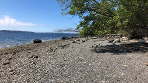 A rocky beach with a tree and a view of the water. - Cooper's Cottage (Camano)