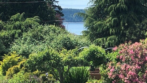 A lush garden with various plants and trees, a view of a lake, and a clear sky. - Cooper's Cottage (Camano)