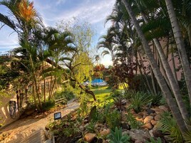 Un sendero en un jardín con palmeras, rocas y una estructura azul al fondo.