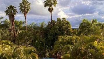 Piscina externa, guarda-sóis, espreguiçadeiras