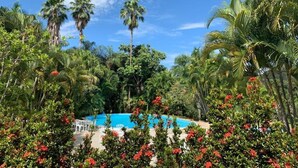A pool surrounded by lush greenery and palm trees. - Estalagem Alter Real (Pirenópolis)