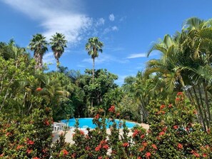 Una piscina al aire libre, sombrillas, sillones reclinables de piscina