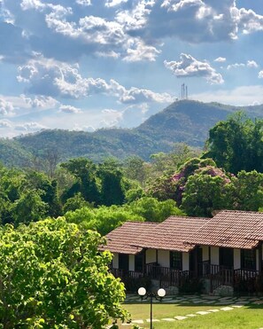 Familienzimmer | Minibar