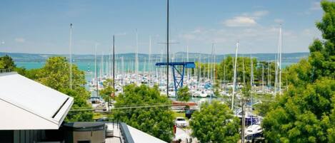 A marina with numerous boats docked, surrounded by lush greenery and a clear blue sky.