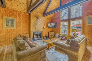 TV, fireplace, Netflix, books