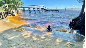 A beach with a wooden pier extending into the water, a child playing in the shallow water, and a rocky cliff on the right. - Water Front Cottage (Edenton)