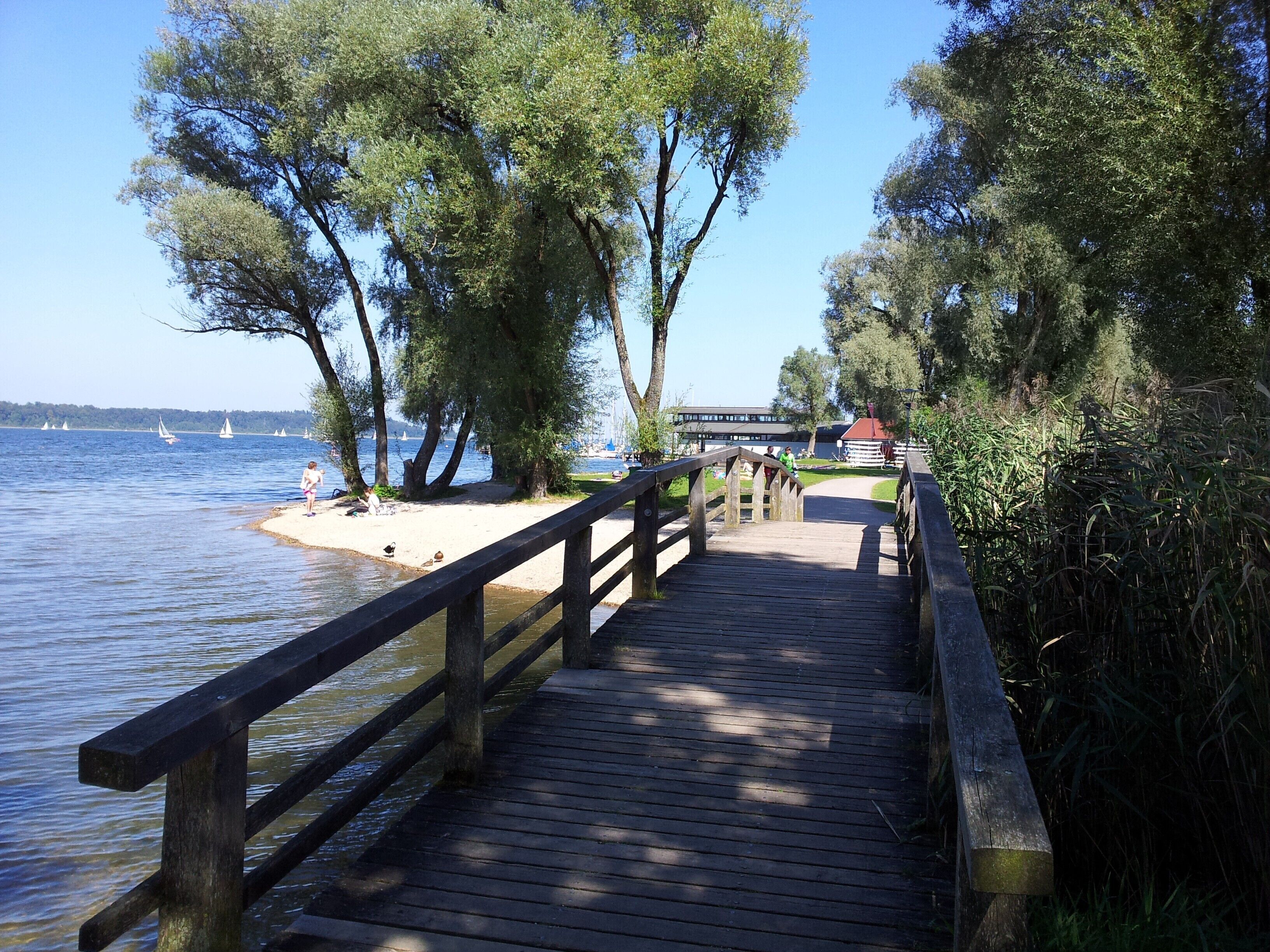 Un muelle de madera que conduce a una playa, con barcos en el agua y árboles a ambos lados.