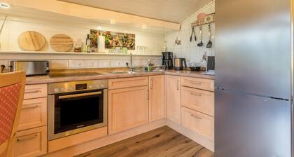 Comfortable and lovely one-room apartment with balcony, mountain view and Wi-Fi