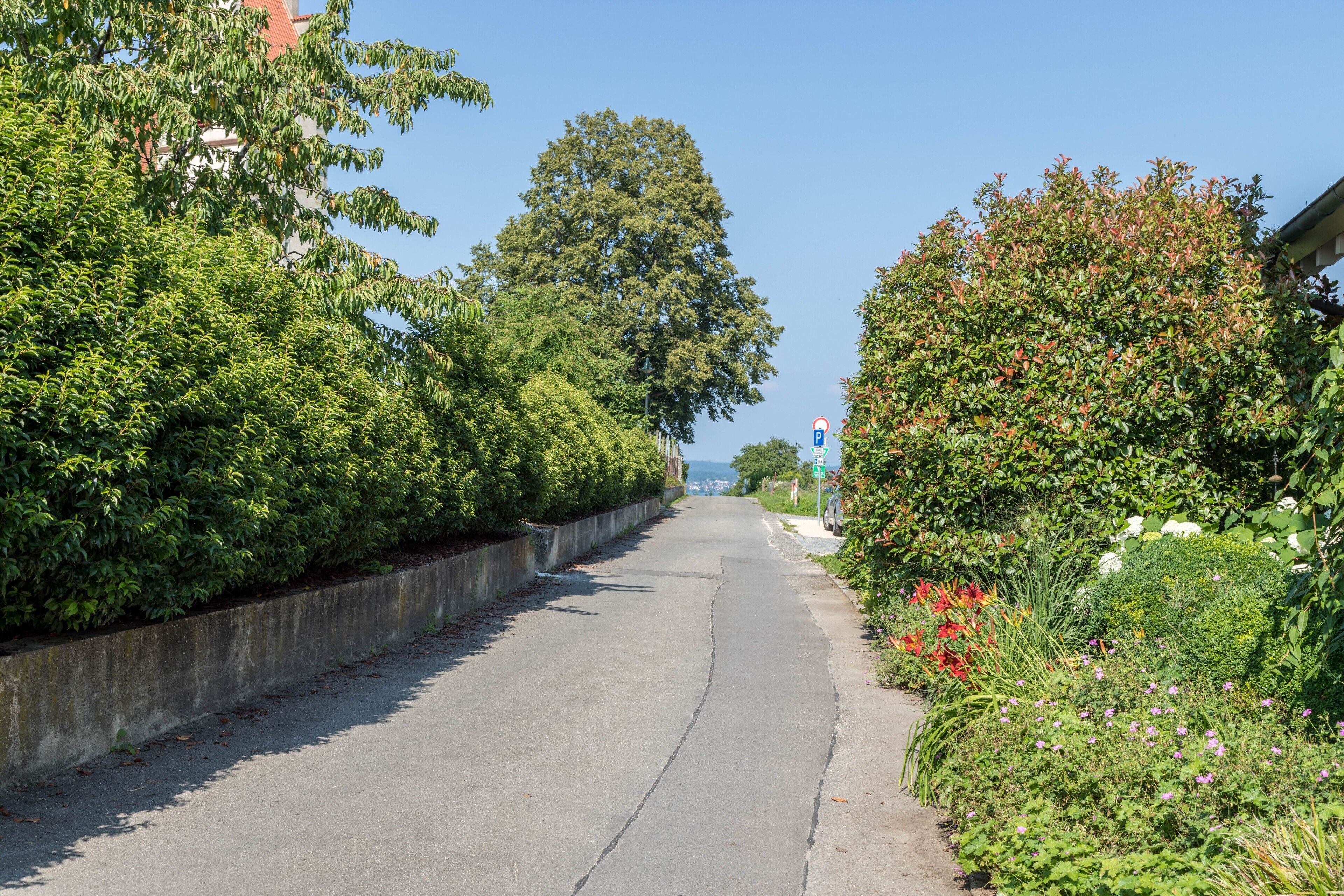 Terrain de l’hébergement 