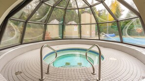 Una piscina interna con pavimento piastrellato e ringhiere metalliche, circondata da un ambiente in vetro che offre vista all'esterno.