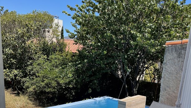 Een zwembad met een houten terras, ligbedden en een boom op de achtergrond.