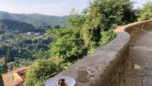 Muro de piedra con vistas a un valle exuberante, con un plato de comida y una taza encima.