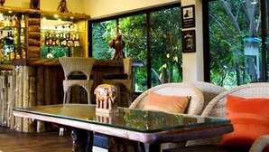 A bar area with a glass-top table, wicker furniture, and a view of lush greenery outside. - The Riverwood Forest Retreat - Dooars (Mal)