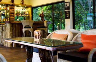 Bar (en la propiedad)