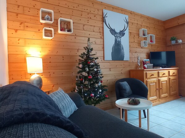 Fernseher