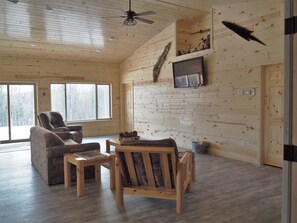 Smart TV, fireplace, DVD player, books
