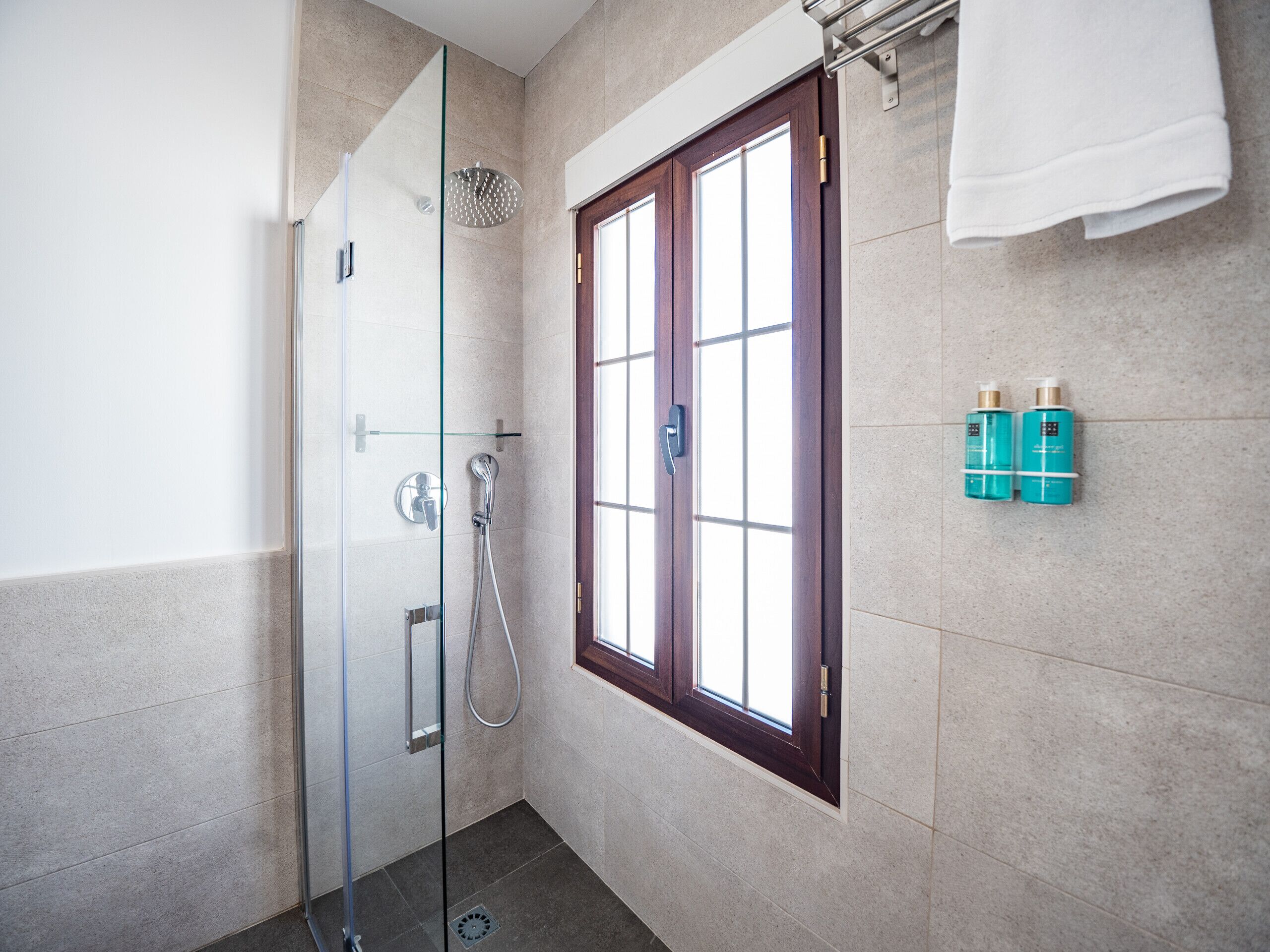 Shower, hair dryer, towels