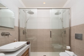 Shower, hair dryer, bidet, towels