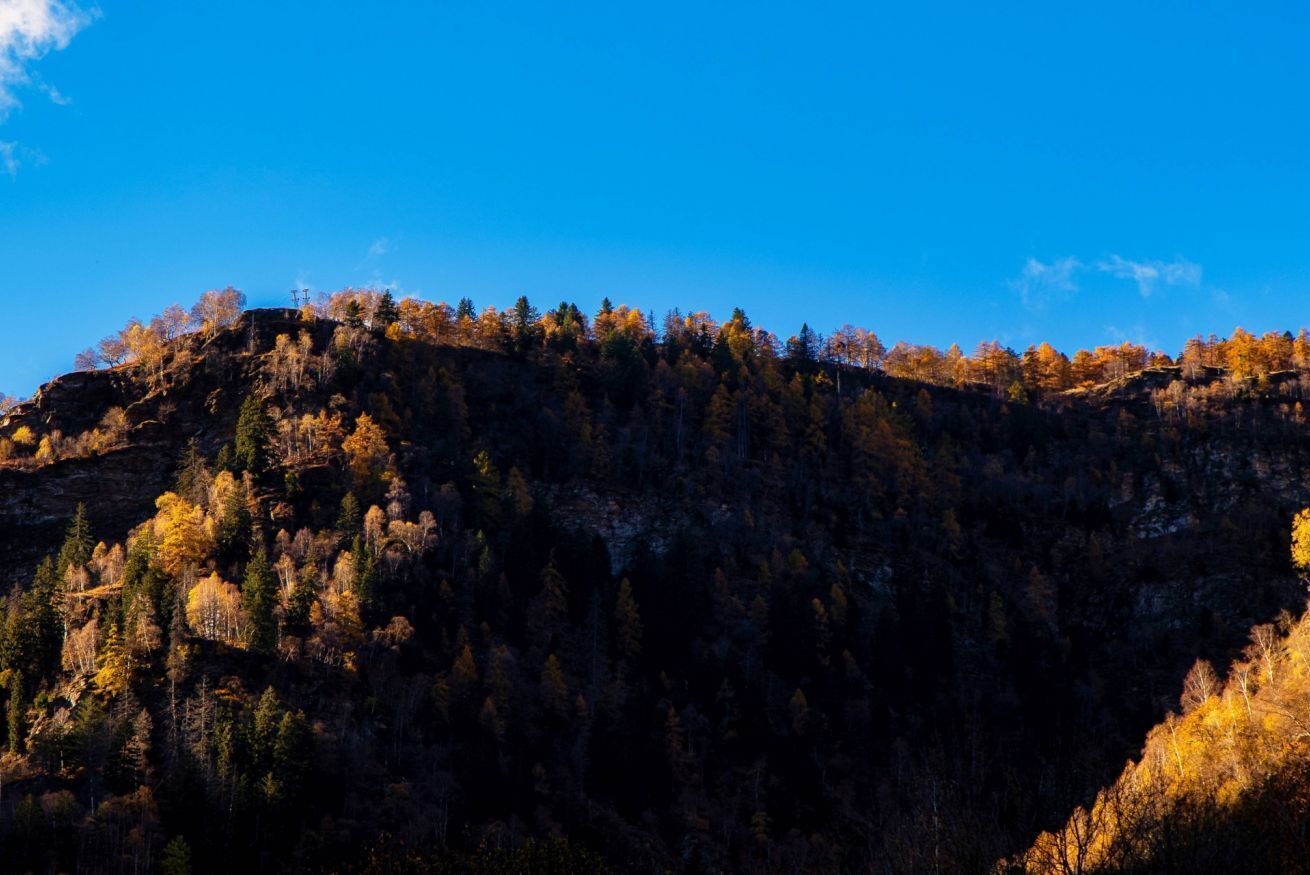 Eine gebirgige Landschaft mit dichtem Wald und blauem Himmel.