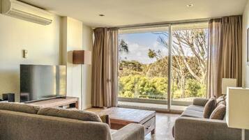 Smart TV, DVD player