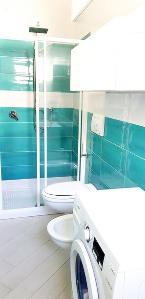 Chuveiro, secador de cabelo, papel higiênico 