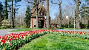 Ein historisches Gebäude mit einem Ziegelbogen, umgeben von einem gepflegten Garten mit Tulpen.