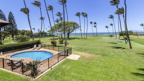 A swimming pool surrounded by a well-maintained lawn and tall palm trees, with a view of the ocean in the background. - Leinaala Oceanfront #203 Panoramic Ocean View, Renovated, A/C, Great Rates! (Kihei)