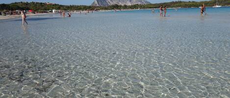 بالقرب من الشاطئ