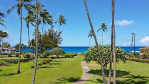 A pathway leading to a beach with palm trees and a clear view of the ocean.
