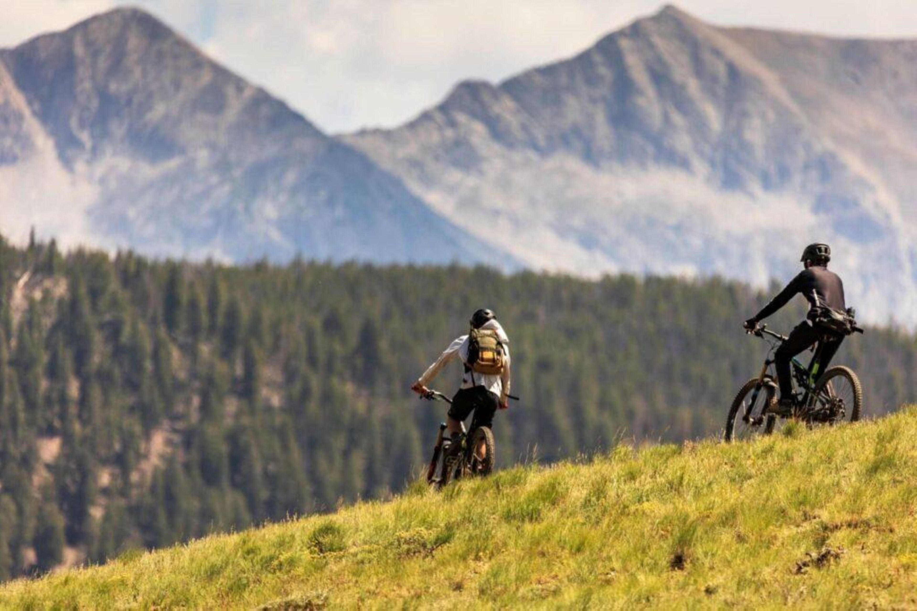 Zwei Mountainbiker auf einem grasbewachsen Hügel, im Hintergrund ein Wald und Berge.