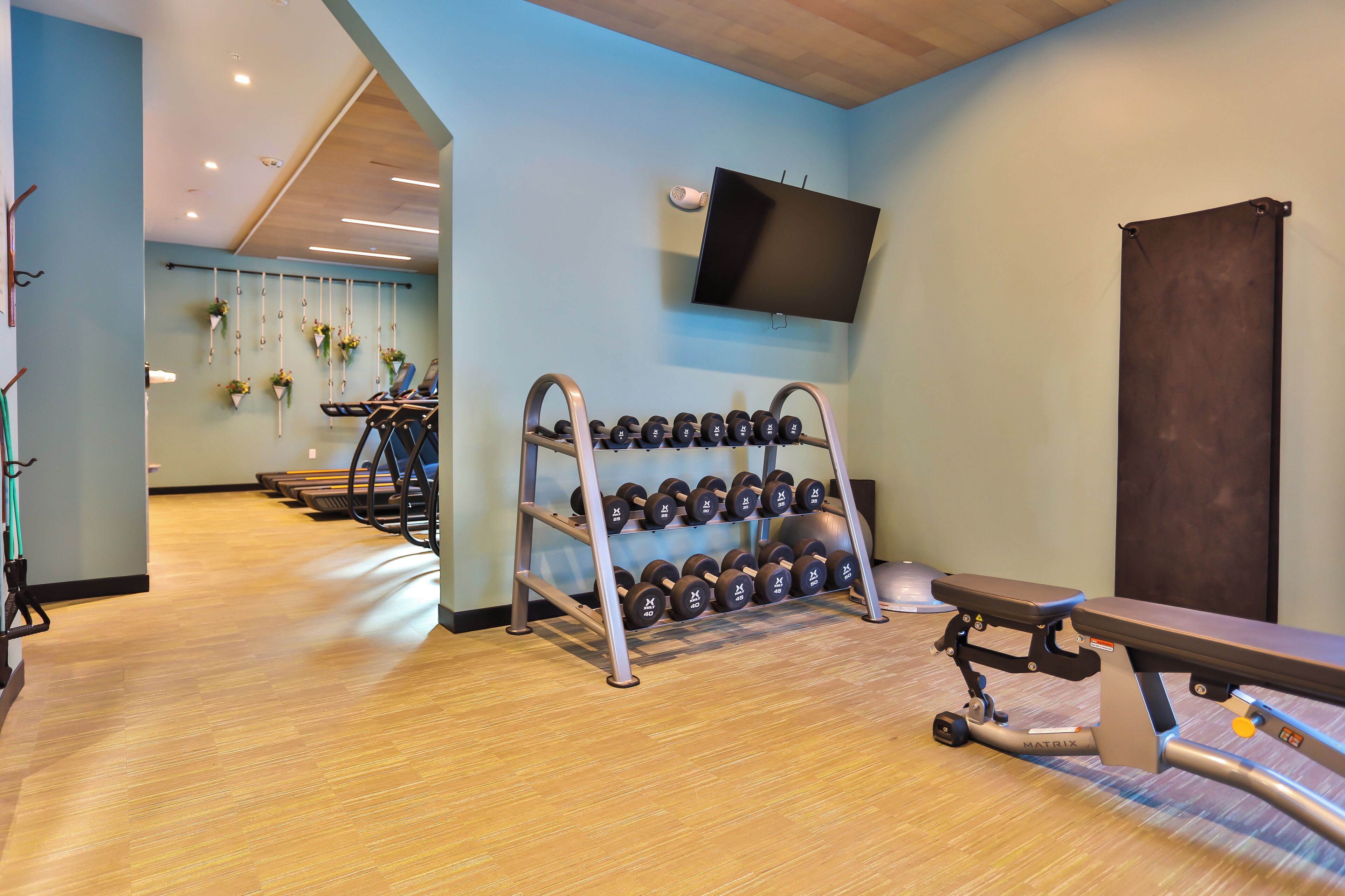 A gym with a wooden floor, a bench, dumbbells, and a TV on the wall.