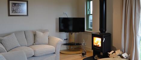 Una sala de estar con sofá, televisión, chimenea y ventana con cortinas.
