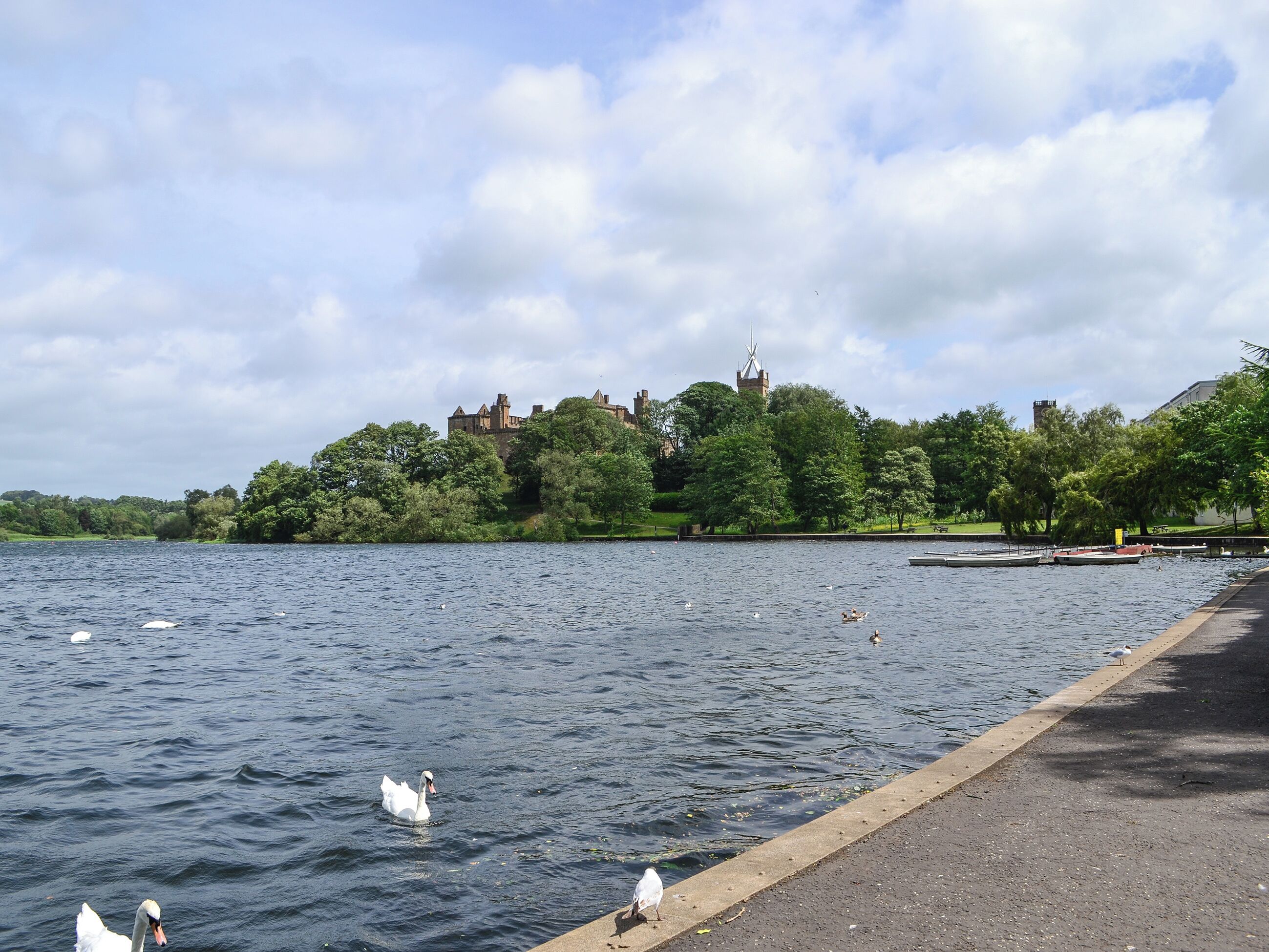 A serene lakeside view with a historic building on a hill, a paved walkway along the water, and swans swimming.