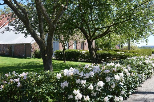 Lüttje Fehn - Ostfriesische Idylle