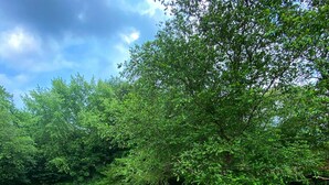 Eine Holzterrasse mit vier schwarzen Hocker und einem Geländer mit Blick auf einen Fluss.