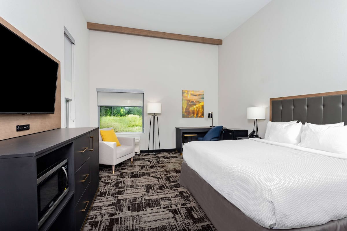 Ein Hotelzimmer mit einem großen Bett, einem Schreibtisch mit Computer, einem Flachbildfernseher, einem Fenster mit Blick auf Grünflächen und einem Bild an der Wand.
