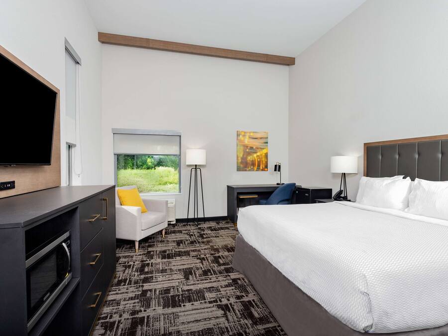 Habitación de hotel con una cama grande, un escritorio con ordenador, un televisor de pantalla plana, una ventana con vistas a zonas verdes y un cuadro en la pared.