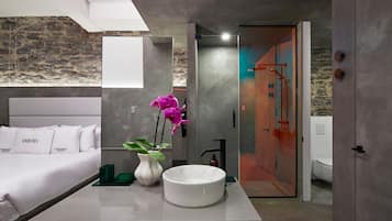 Shower, hair dryer, bathrobes, slippers